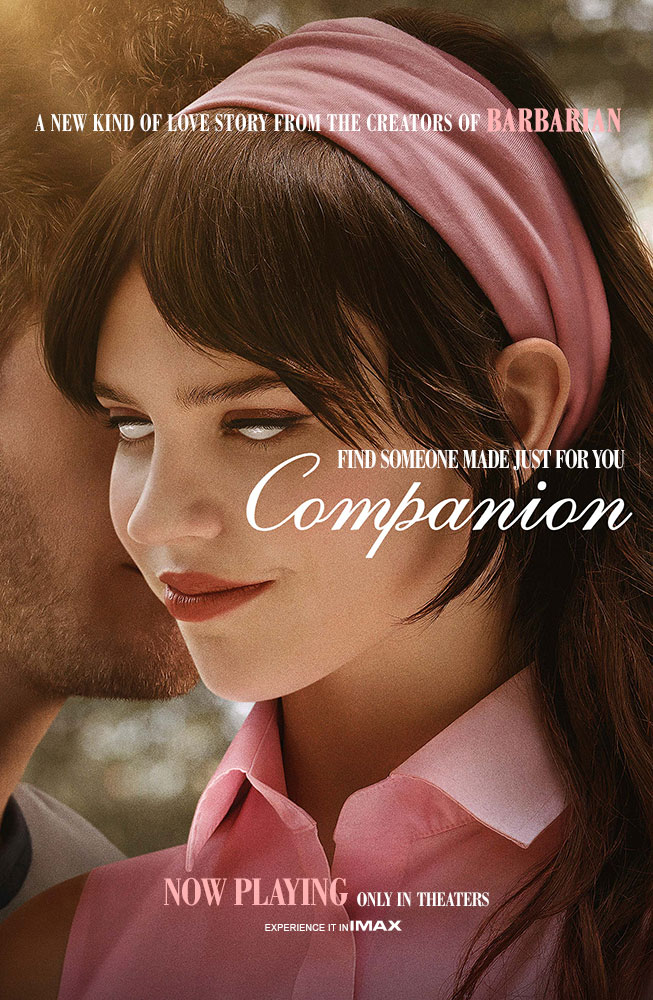Find Your Companion