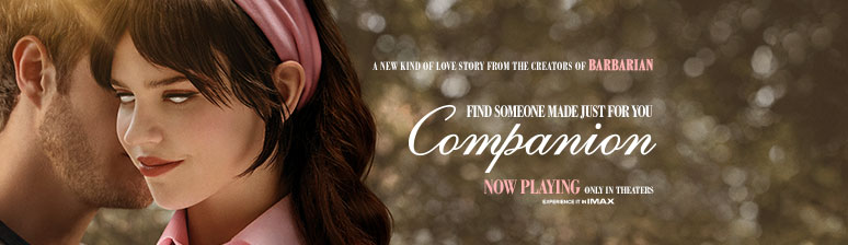 Find Your Companion